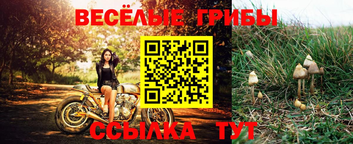 Галлюциногенные грибы ЛСД Камышин