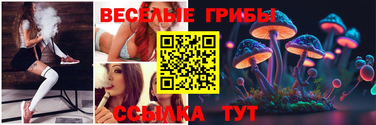 Псилоцибиновые грибы прущие грибы  Вход с VPN  Камышин  Псилоцибиновые грибы ЛСД 